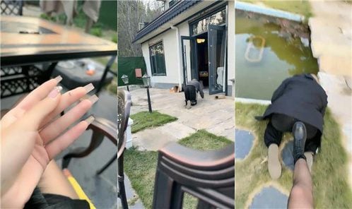 元之師匠 |マナーハウスでの屋外犬の訓練