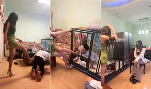 伊晨 | 双S 带闺蜜入圈 鞭打 关狗笼骑马转胯 棉袜气味辱 吃狗粮