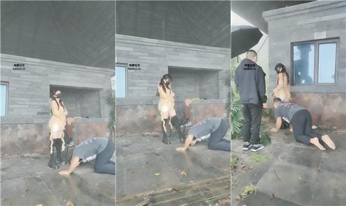 イー・チェンおすすめダブルS：雨の日に屋外で犬の散歩をする