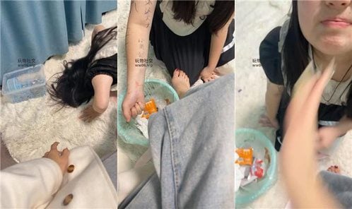 沐沐大大 | 涂鸦羞辱你们的女神