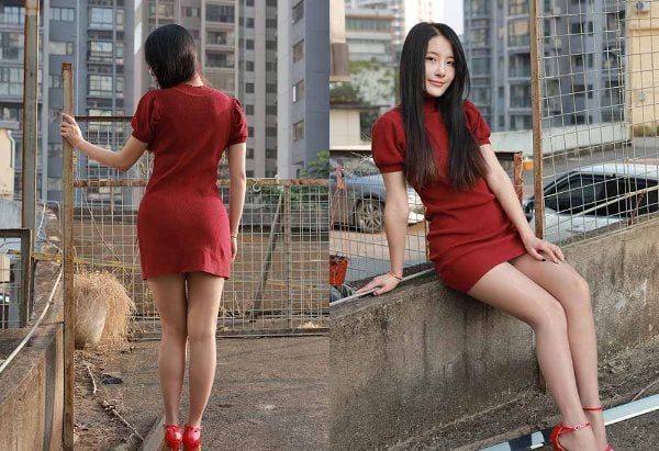IESS Different Ideas | Silk Home 1972 Wanping Tomato