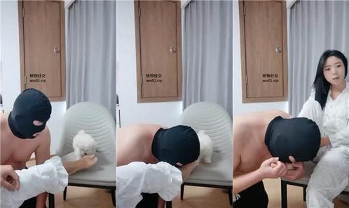 芝芝女王 | 舔不好脚就鞭打惩罚