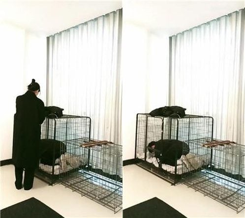 天韵女皇 | 狗笼圈养犬化