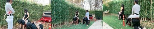 红焱 | 庄园仿OWK 彻底犬化多奴 多S群调鞭打虐废
