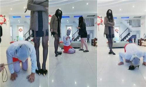 媚娘工作室 | 双S 四肢固定彻底犬化训练