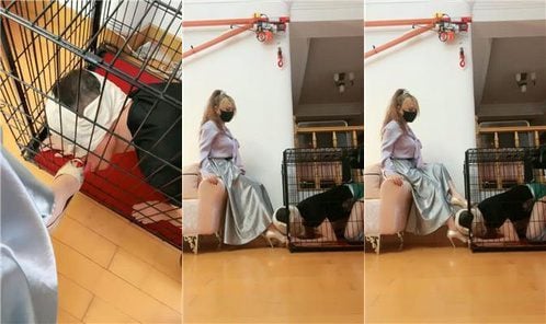 魔鬼天使 | 关狗笼 丝巾全包窒息