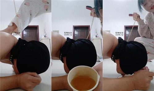 纱月桃 | 不老实就给我绑起来的狗