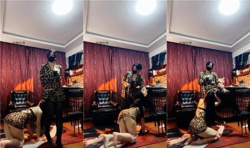 Cold face | Female animal walking the dog, dog-like high heels and black stockings licking wildly