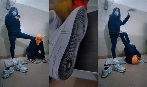 奇了怪了 | 喜欢运动后鞋袜脚的狗