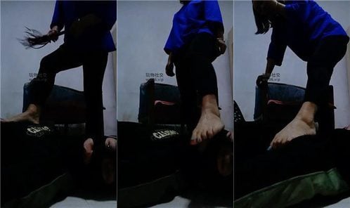 莎莎女帝 | 臭脚丫物化脚垫奴 完整版