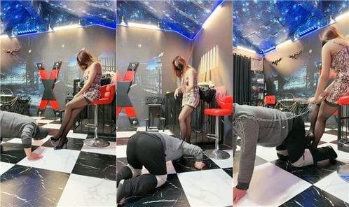 Hongyan | Torture instruments, dog leash, dog walking, kneeling, licking, high heels, black stockings