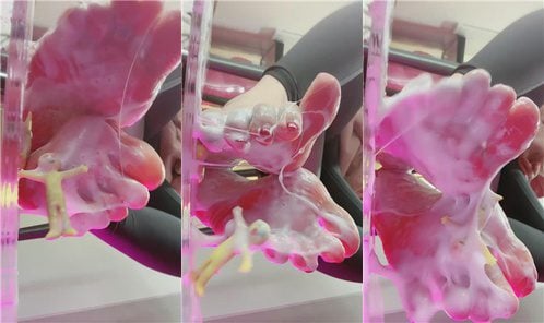 绝美兔 | 来吃臭脚 250323-9