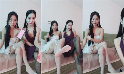 双胞胎萌萌 | 怨种贡猪 241220 1