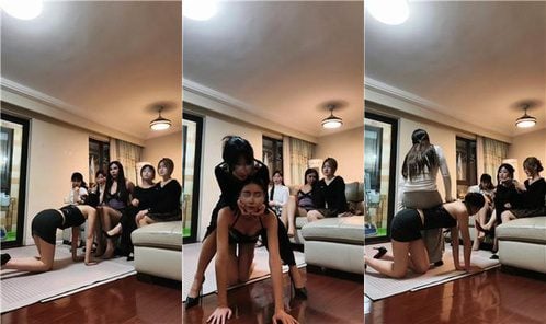 魔仙集中地 | 超强多女王阵容 整废社会一姐
