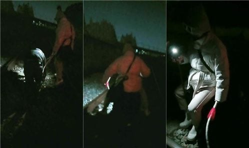 冰炫 | 深夜铁路边上溜狗犬化 双视角版