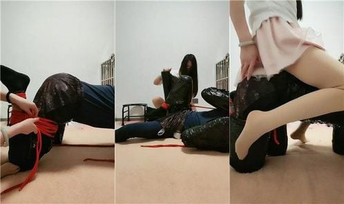 于少奶奶 | 物化人形犬初体验 下