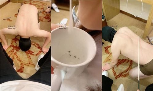 白兔 | 转胯狗爬 藤条鞭打 赏赐圣水 奖励闻鞋