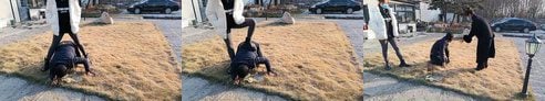 Ruye | 屋外で犬の散歩と汚れた靴をきれいにする二重視点バージョン