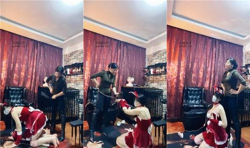 冷颜 | 狗笼囚禁圣诞女神命令发骚