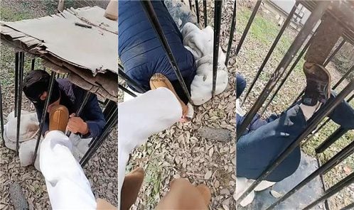 龙刖 | 别墅户外彻底犬化专场 双视角版