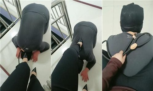 内蒙一一 | 狗链遛狗爬行 全体重踩