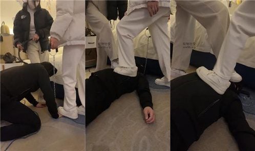 Qiqi Xiaozhu | Double S dog leash walking dog white shoes trample