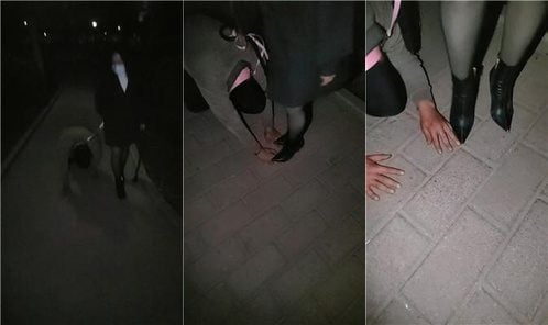 Mu Yan | Late night outdoor dog walking and trampling execution