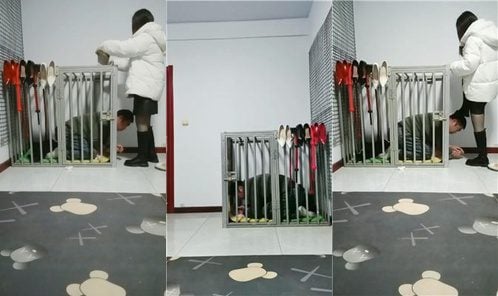 丽娜夫妻 | 狗笼圈养囚禁实录 三视角版