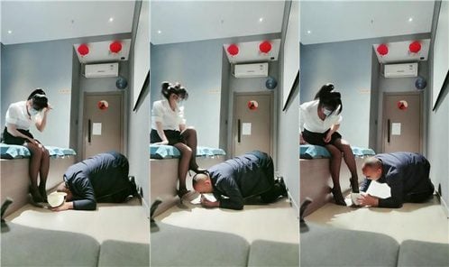 Northwest Fool | High-value Technician S Feeding Holy Water Instant Noodles