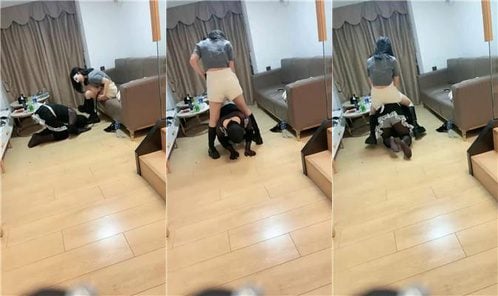 Bee 00s couple | riding a horse, dog climbing, long boots trampling
