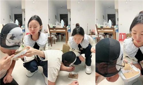 锅盖子 | 强迫喂食呕吐物