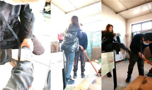 シルバーサウスの女王 | 犬の散歩にリードをつけた犬