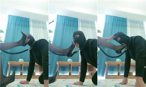 卡罗琳 | 白领S 黑丝高跟虐家奴