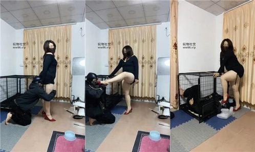 Lin Xin | The cage that imprisons the dog is completely canine