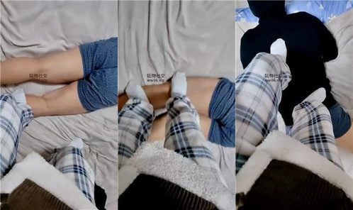 Little Lamb | White Cotton Socks Playing with the Trashy House Slave