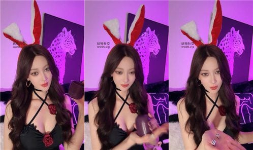 绝美兔 | 爬进来挨骂 250506-8
