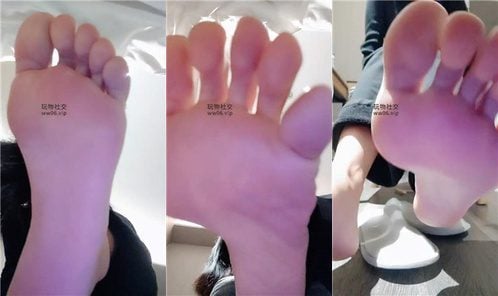 维因 | 炸金胁迫 250415-26