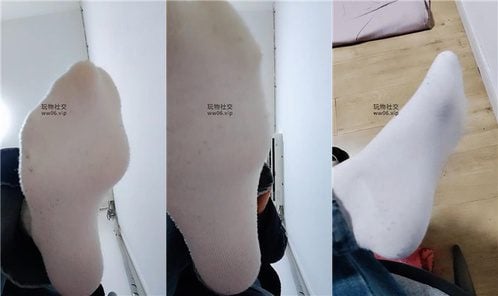 上海汤圆 | 灯学狗叫 250202-21