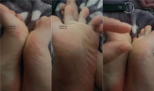 安琪导师 | 绿帽专场开发绿帽狗 250202-3