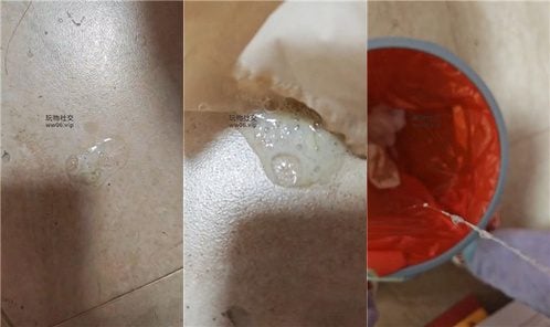 杭州玉主子 | 浓痰呕吐 250210-37