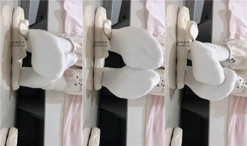未知作者 | 小狗 250210-18