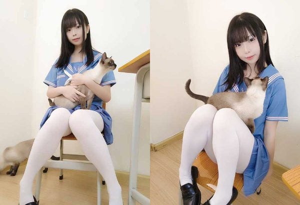 Beautiful Pictures | 2061 Shiwanzhenzhifute Kagawa Mio's Cat Diary