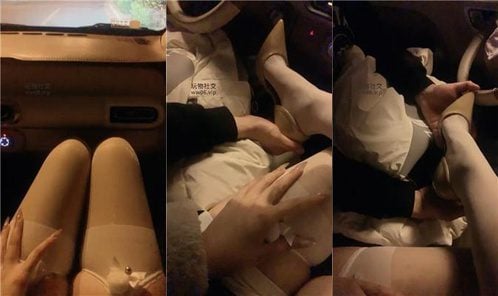 温蒂 | 高跟肉丝车内调司机奴 JS250222-23