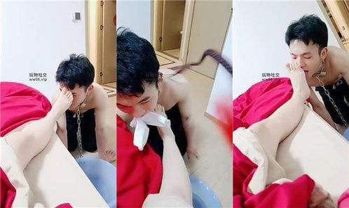 南月女神 | 下跪伺候主人起床 JS250223-3
