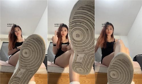 风筝 | 家务狗母子 250221-8