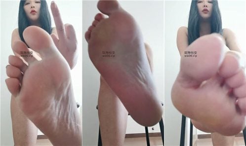 江路 | 犬用ライト 250207-3