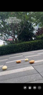 新入生の女子高校生、靴2足、AJアウトドアカスタム、よだれで汚れたソール、若々しいJS250814 11