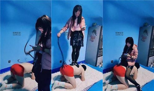 山兔莓 | 双素人学生主-全体重跳踩 下 bf49292