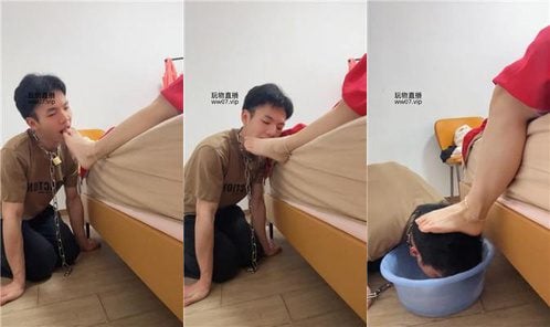 南月女神 | 犬奴伺候主人起床洗漱 JS250301-3