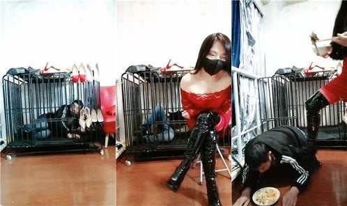 冰炫 | 囚禁狗笼犬化 双视角版 JS250315-36